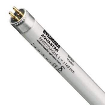 Sylvania Fluorbuis TLD TL5 54W Aquastar 174 Fho G5 1149Mm 0002754