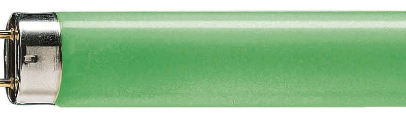 Philips TLD TL Buis TL8 58W Groen G13 1500Mm Nr17