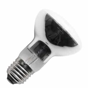 SPL Filament LED Reflector SPC R63 E27 5.5-34W 2500K 380L Dimbaar L023863092 - Afbeelding 4