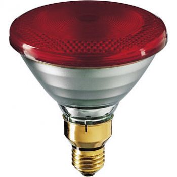 Philips Warmtelamp Infrarood Persglas 175W E27 Rood Par38 Ir175C