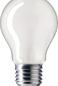 Gloeilamp Laagspanning Standaardlamp 12V 25W E27 Mat 60Mm