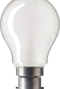 Marine Gloeilamp Standaardlamp 60W B22 Mat 42V Laagspanning