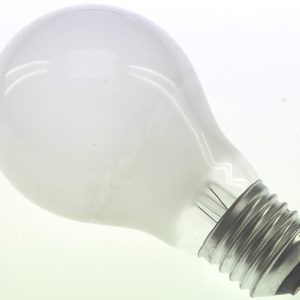Gloeilamp Laagspanning Standaardlamp 40W E27 48V Mat 60Mm