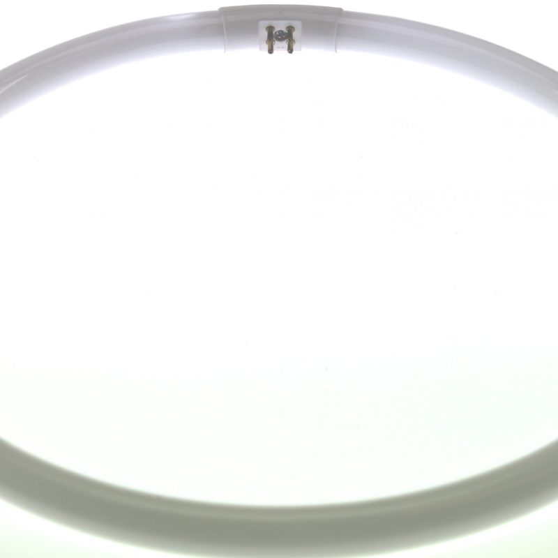 Bmc Circlinebuis TLE TL5C 22W 2700K 827 Ronde buis 185Mm 4-Pinnen Naar Binnen