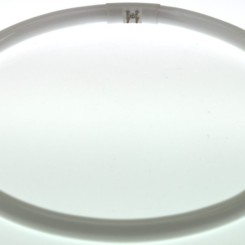 Bmc Circlinebuis TLE TL5C 40W 4000K 840 Rond 295Mm 4-Pinnen Naar Binnen