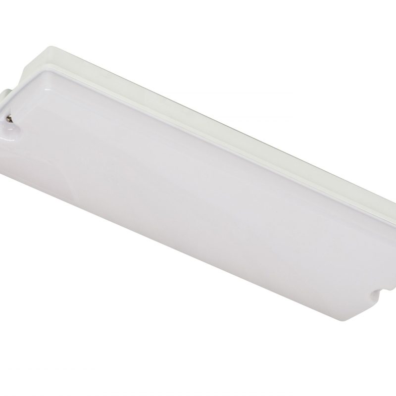 Robus Portiekverlichting Led 6W Opaal Kap Ip65 350Lm R6Bhled 365x118x88Mm