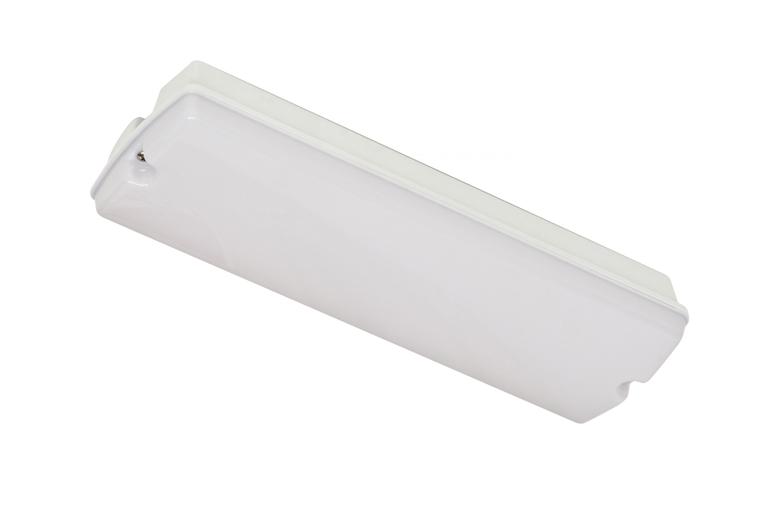 financiën oppervlakte Snooze Robus Portiekverlichting Led 6W Opaal Kap Ip65 350Lm R6Bhled 365x118x88Mm
