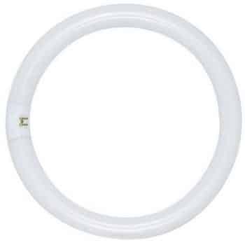 Bmc Circlinebuis TLE TL5C 60W 4000K 840 Rond 375Mm 4Pinnen Naar Binnen