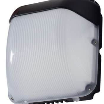 Robus Beveiligingsarmatuur Falcon Wand Ip65 5500K 50W 3500Lumen