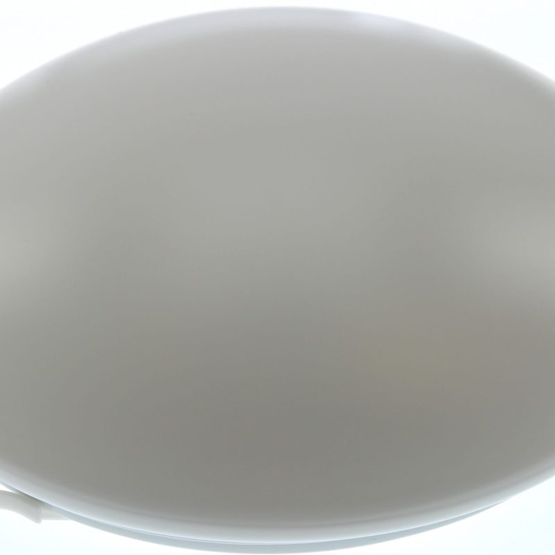 Bmc Plafoniere Opaal Rond 22W D=29Cm Incl 827 Buis