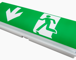 Noodverlichting 600-021  3W Auto Test Incl Pictograms