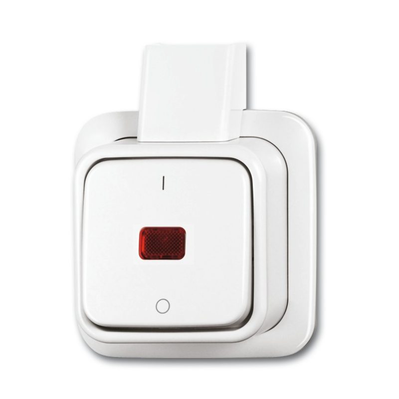 ABB Busch-Jaeger Opbouw Schakelaar 2-Polig Met Lamp Crème 2601 2Skapj 1052-0-0137