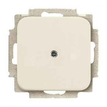 ABB Busch-Jaeger Afdekking Centraalplaat Blind 2538-212 Si Crème 1715-0-0218