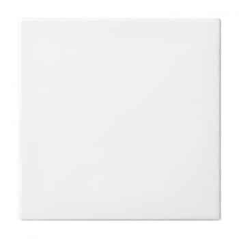 Busch/J Balance SI Afdekking Wipvlak Wissel Schak. SI 2506-914 Echt Wi