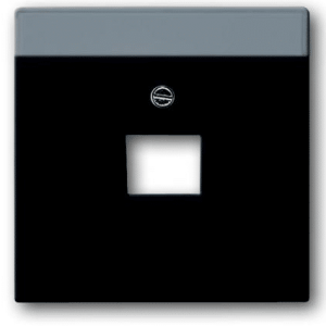 Busch/J Future Linear Centraalpl Datadoos 1Xrj45 F- Mat Zwart 1803-885 - Afbeelding 3