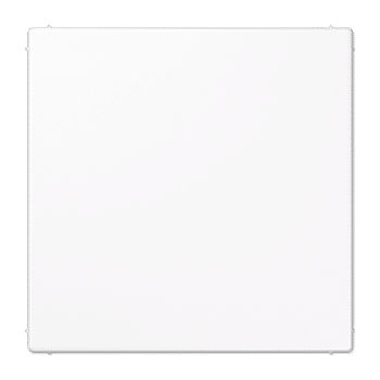 Jung LS990 Afdek Centraalpl Blindplaat LS994BWW Echt Wit Glans