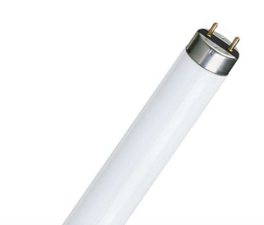 Fluorbuis voor afzuigkap TLD TL8 14W- 16W T8 36cm 4100K G13 491491584 1 TL buis 14W-16W 36cm koel wit licht afzuigkap