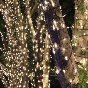 Tro- 025-019 Tree Light Pro 24Gr 63M 420 Led Green Wire 2400K Ww+ - Afbeelding 4