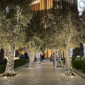 Tro- 025-121 Kerst Tree Light Pro 36V 21m Green Wire 6500K CW - Afbeelding 2