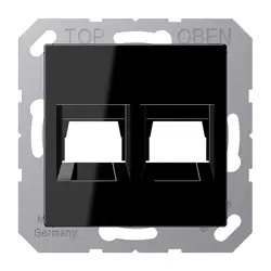 Jung As500 Afdek Centraalpl Draagring 2xRJ45 Isdn UTP 8P8C A1569-2WESW