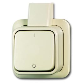 ABB Busch-Jaeger Opbouw Schakelaar Kruis + Onderplaat Crème 2601 7 Apj 1042-0-1