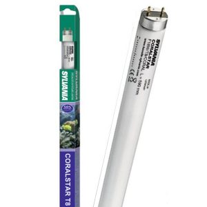 Sylvania Fluorbuis TLD TL8 18W Coralstar 590mm Actinic