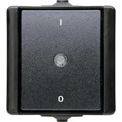 Kopp WD. Waterdicht Proaqua Schakelaar 2-Polig Zwart 540205004 2 Kopp WD. Waterdicht Proaqua Schakelaar 2-Polig Zwart 540205004 - Afbeelding 2